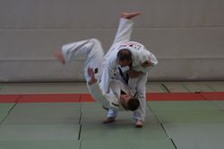 Hüftwurf Bild 5
